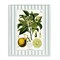 Stupell Industries Lemon Plant Green Stripes Framed Giclee, design by Lettered and Lined